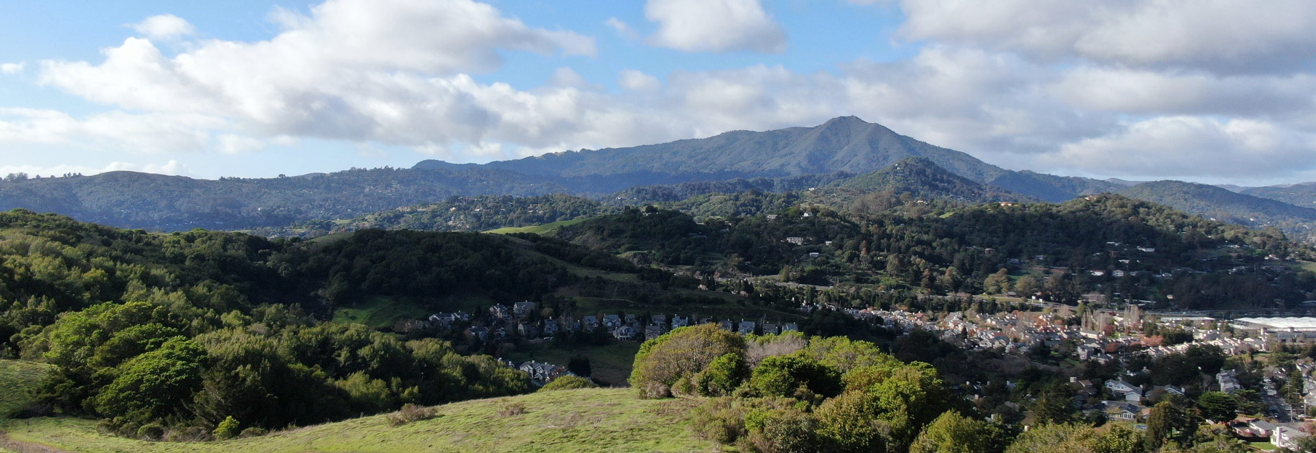 Mt. Tam View